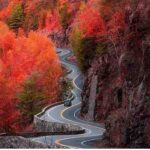 دانلود آهنگ جدید اون یکی داغون اون یکی نیمه جون