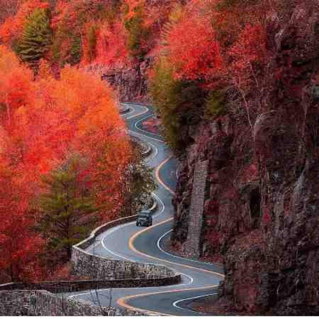 اون یکی داغون اون یکی نیمه جون