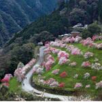 دانلود آهنگ جدید تو که میترسیدی از تاریکی الان چجوری تنها خوابیدی