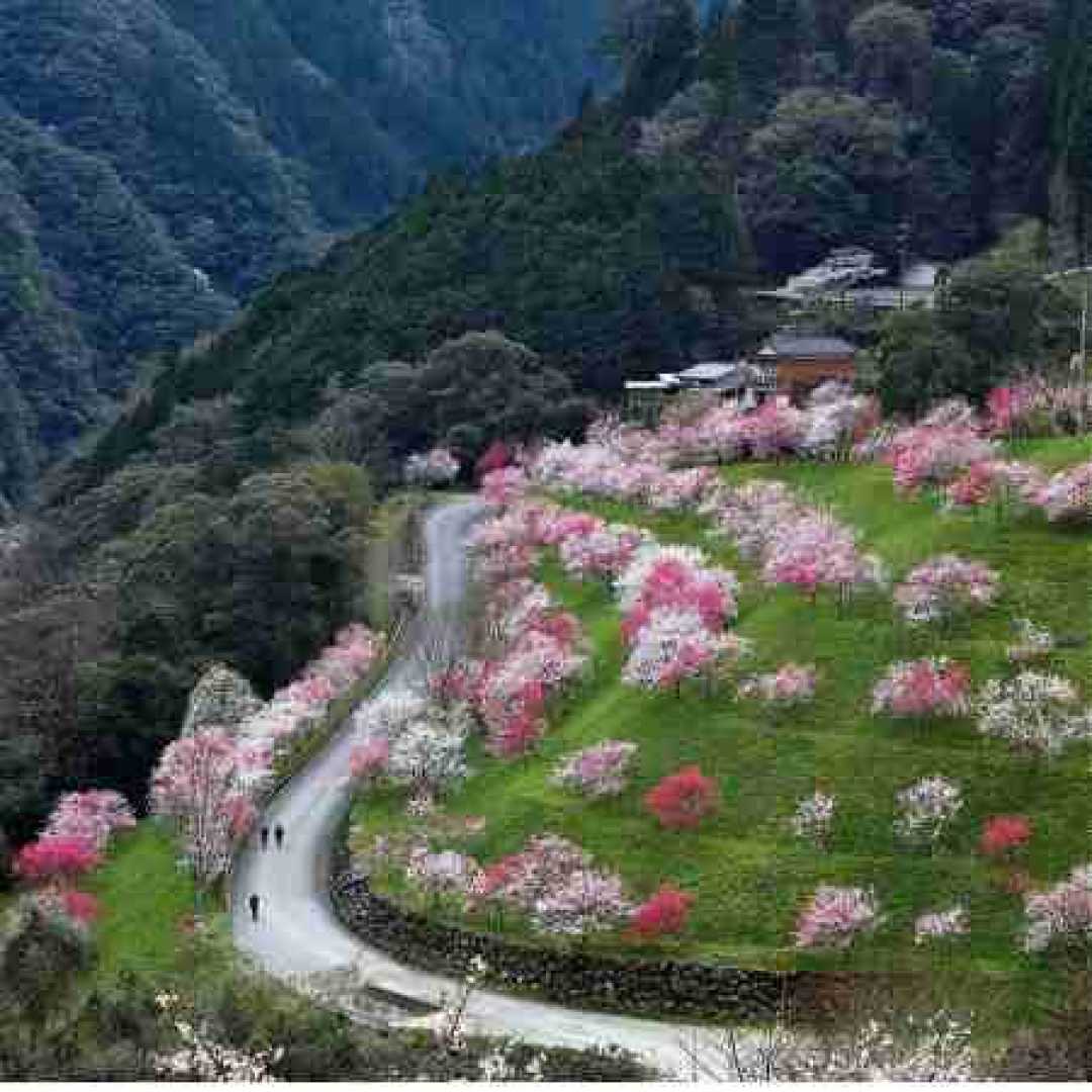 تو که میترسیدی از تاریکی الان چجوری تنها خوابیدی