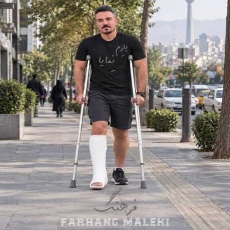 فرهنگ ملکی یارم نمایا