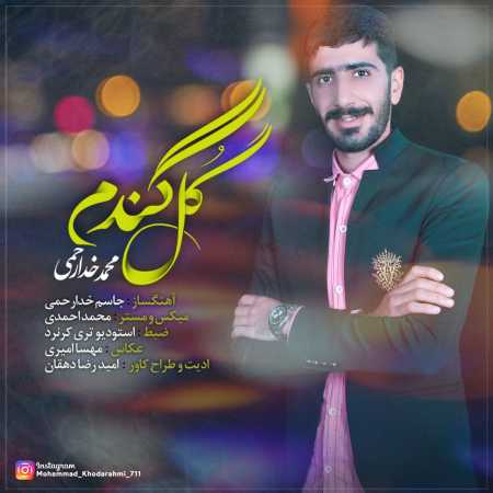محمد خدارحمی گل گندم