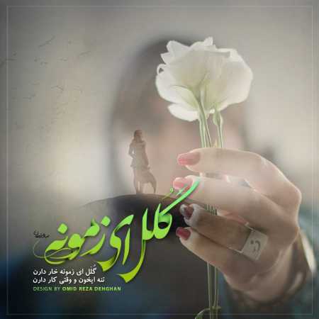 امیدرضادهقان گلَل ای زَمونَه خار دارِن