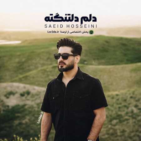 سعید حسینی دلم دلتنگته