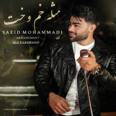سعید محمدی مثل خم و خت