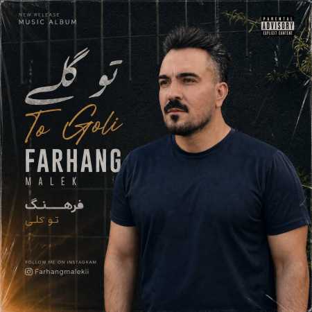 فرهنگ ملکی تو گلی