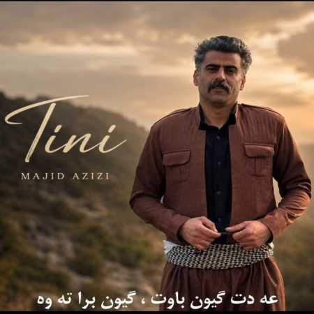مجید عزیزی تینی